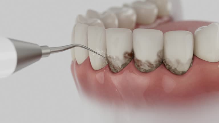 Trusted Emergency Dentist service in Callahan, FL - Dentist Open Now